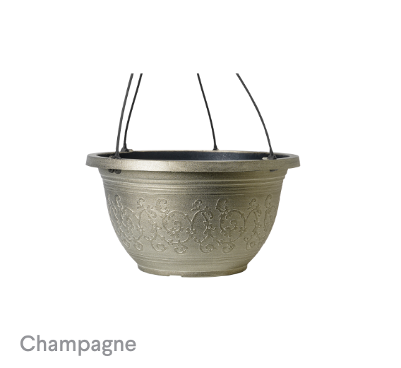 image of Champagne Florence