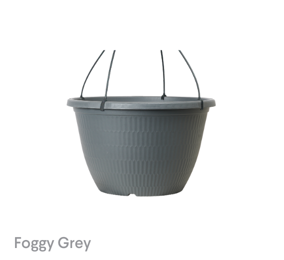 image of Foggy Grey Fraser