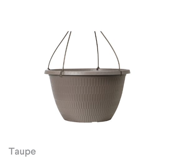 image of Taupe Fraser