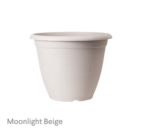 image of Moonlight Beige Helix