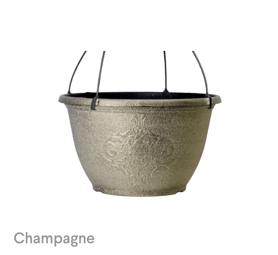 image of Champagne Nestor