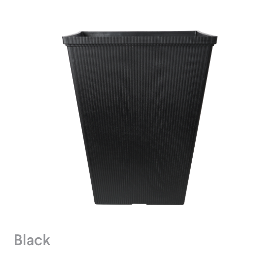 image of Black Porter
