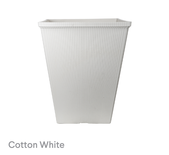 image of Cotton White Porter