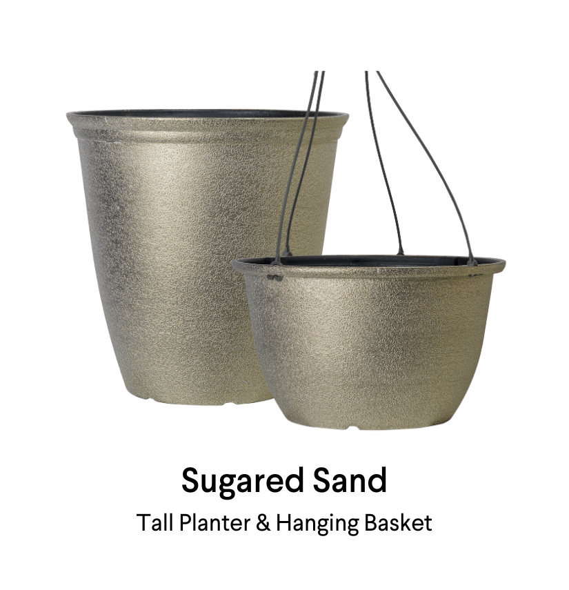 image of Sugared Sand planter