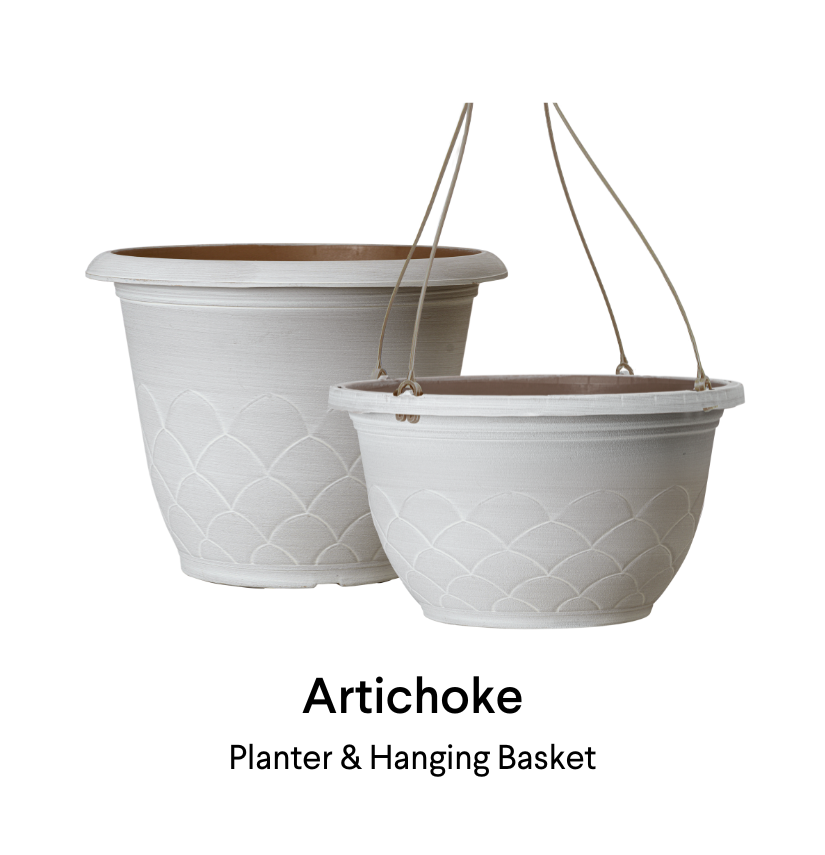 image of artichoke planter