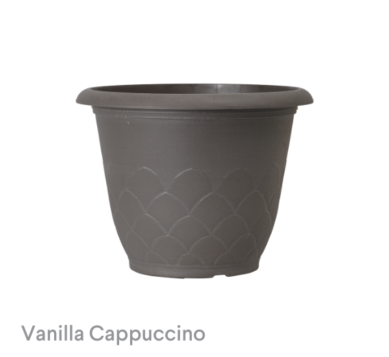 image of Vanilla Cappuccino Artichoke
