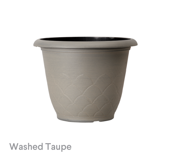 image of Washed Taupe Artichoke