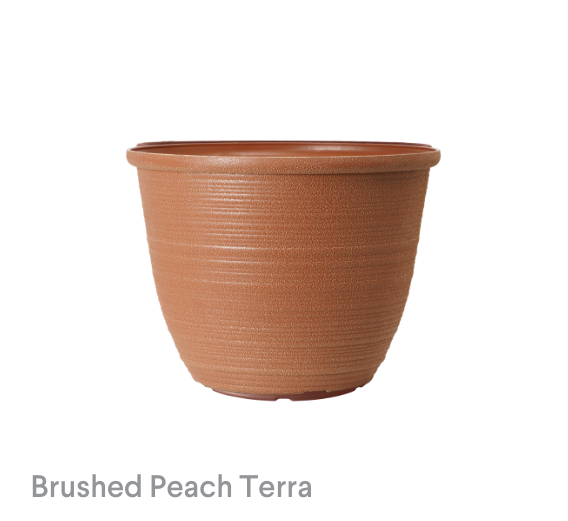 image of Brushed Peach Terra Bombay