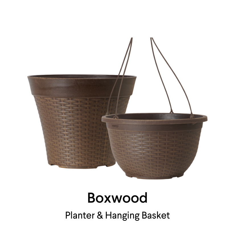 image of boxwood planter