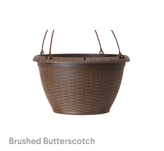 image of Brushed Butterscotch Boxwood