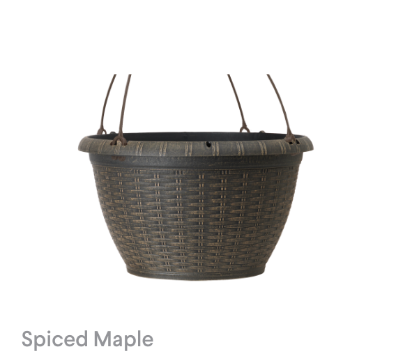 image of Spiced Maple Boxwood