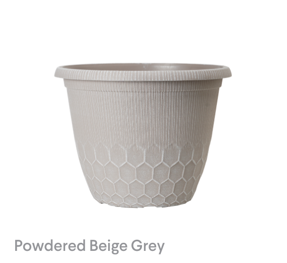 image of Powdered Beige Grey Bristol
