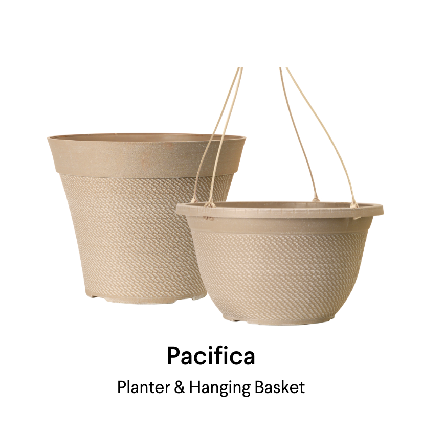 image of pacifica planter