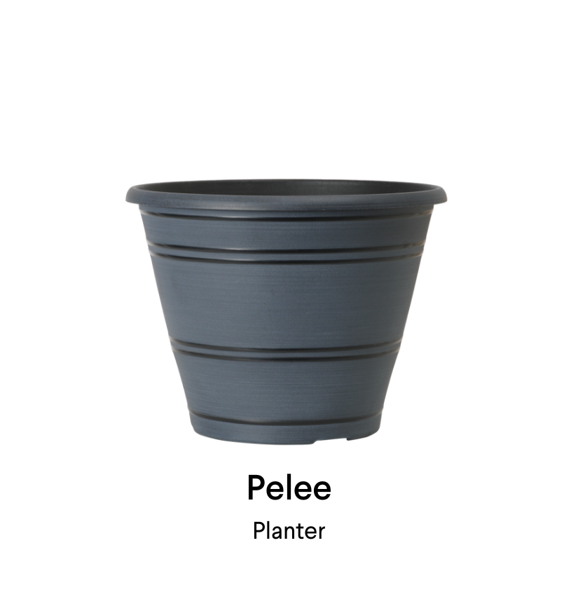 image of pelee planter
