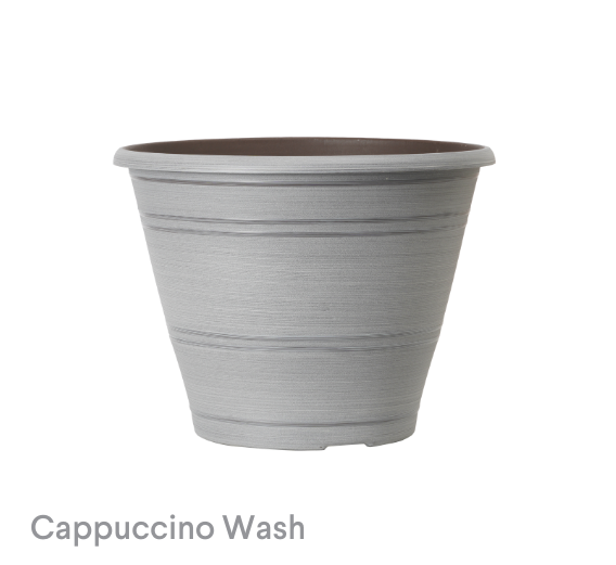 image of Cappuccino Wash Pelee