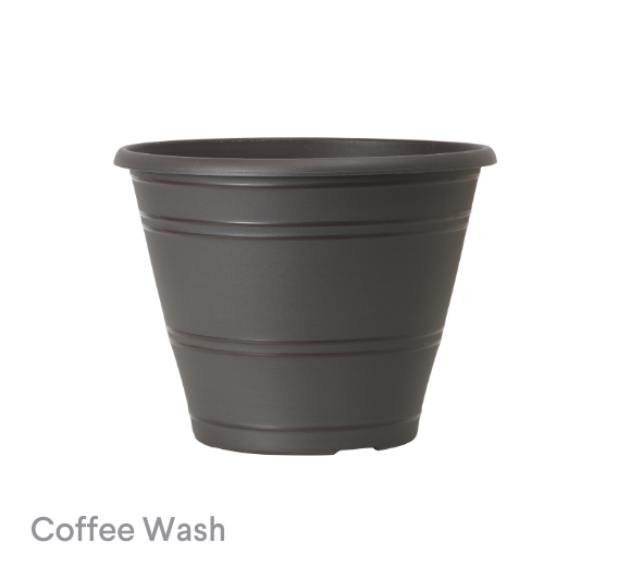 image of Coffee Wash Pelee
