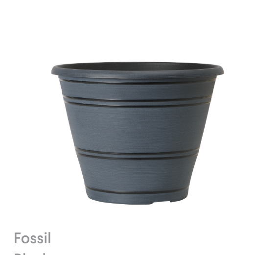 image of Fossil Black Pelee