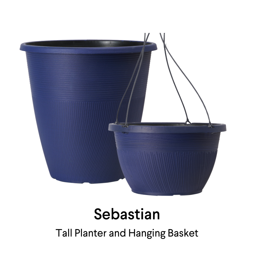 image of sebastian planter