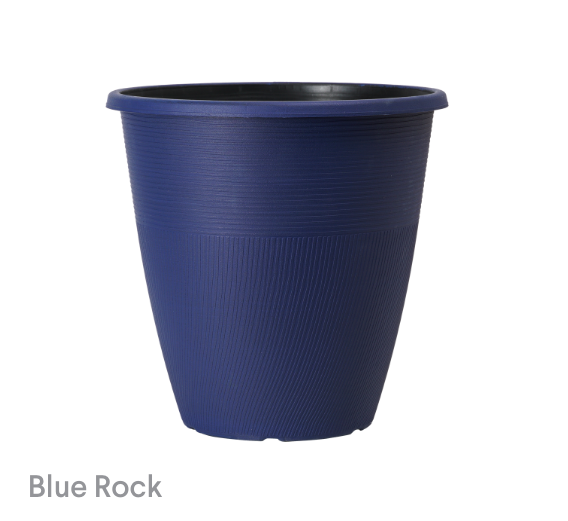 image of Blue Rock Sebastian