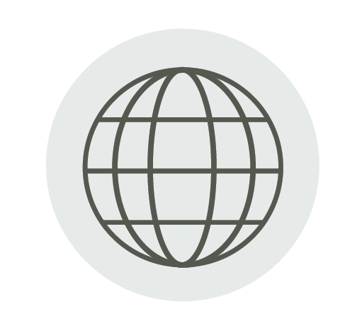 icon of planet with grid