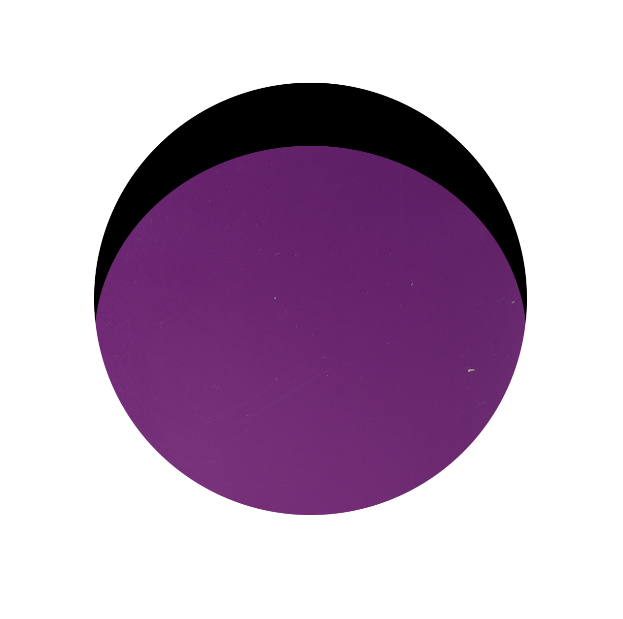 Blackberry TF / Black TF (Pot)