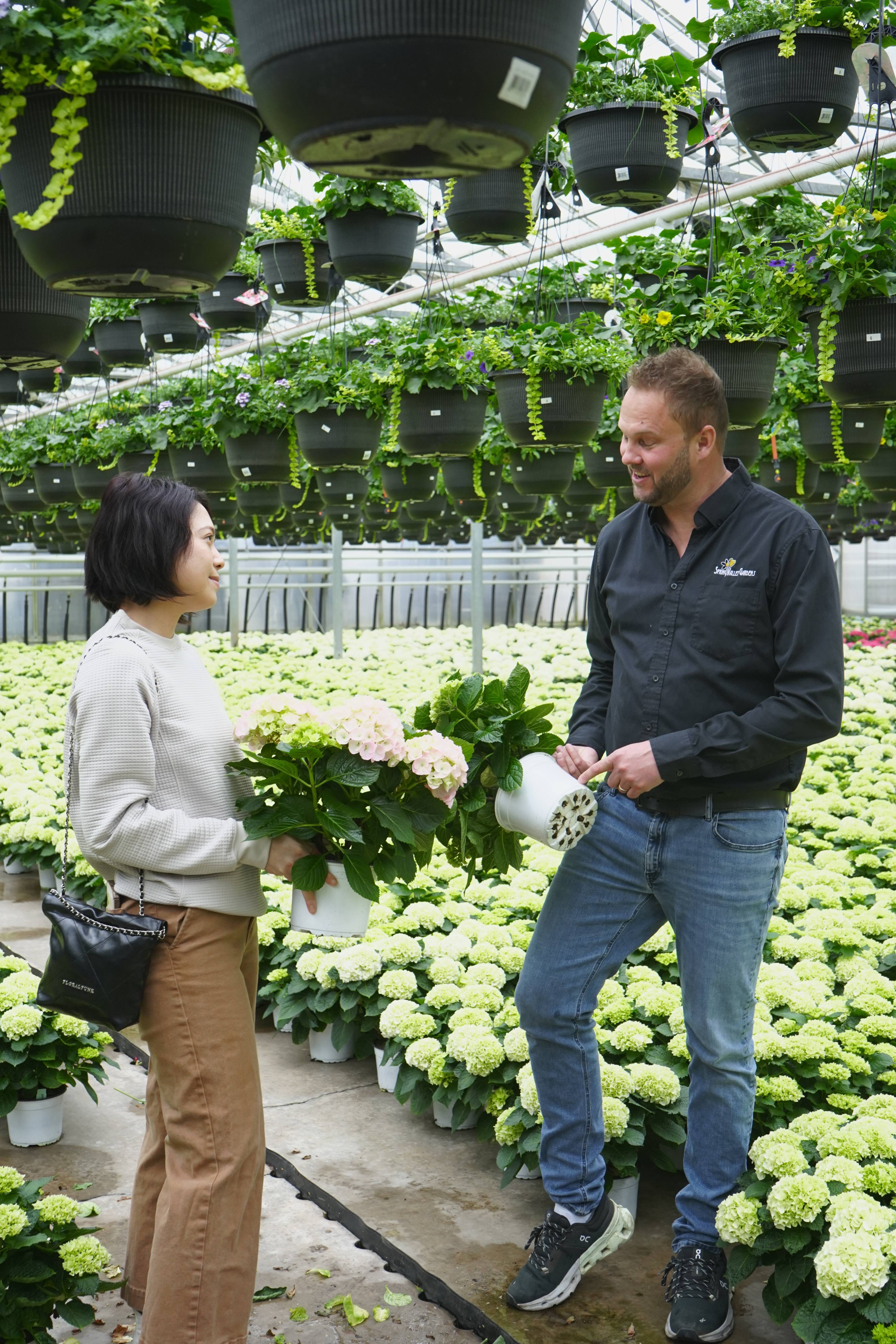 Discussing sustainable pots in greenhouse