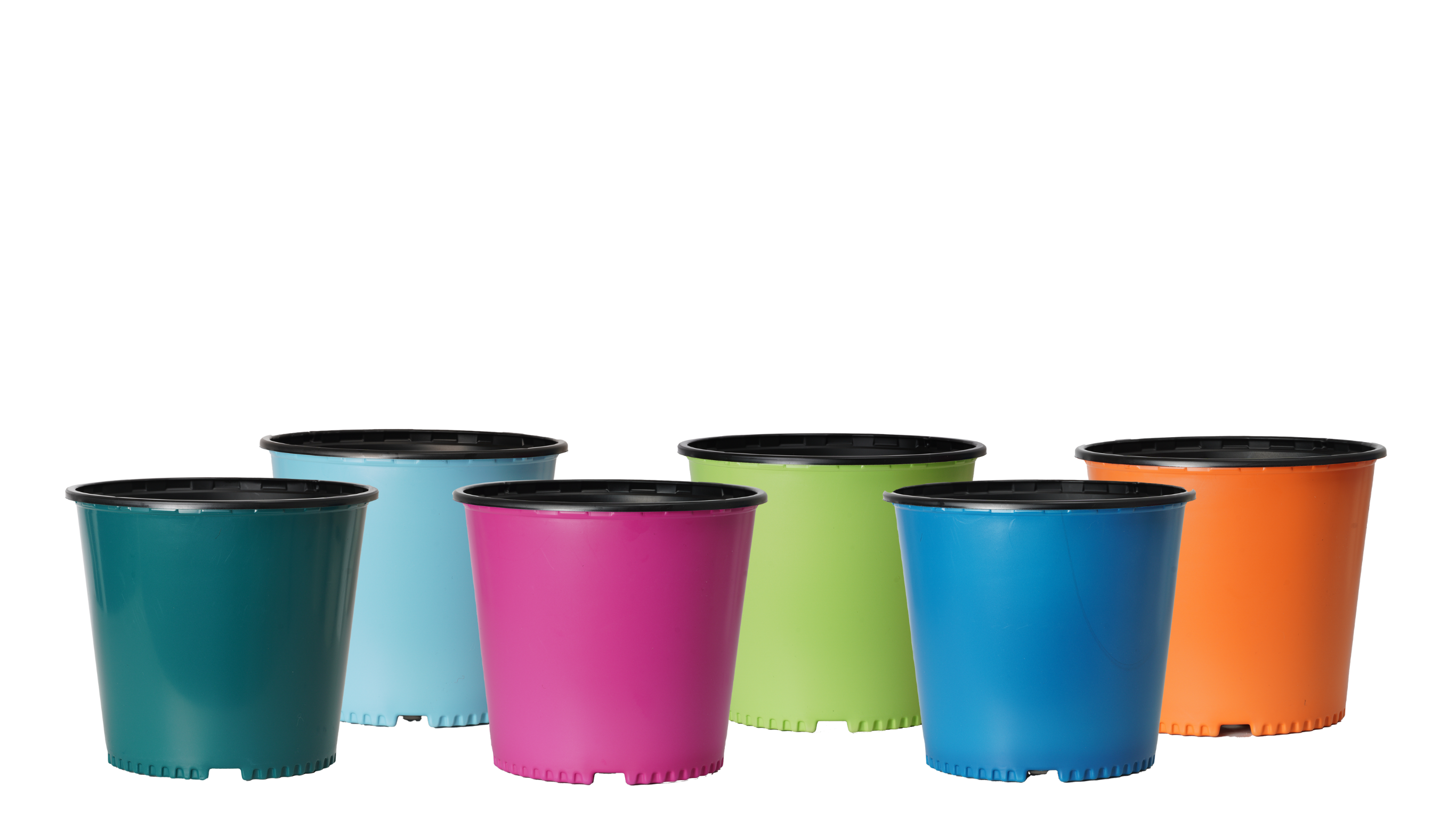 Color PCR pots