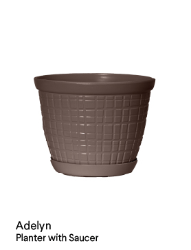 image of adelyn planter
