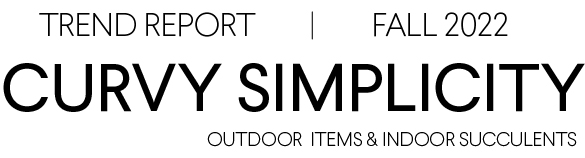 title text image for curvy simplicity page
