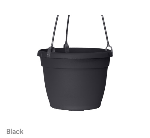 image of black Bella hanging basket