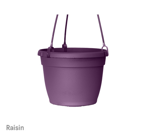 image of raisin bella hanging planter