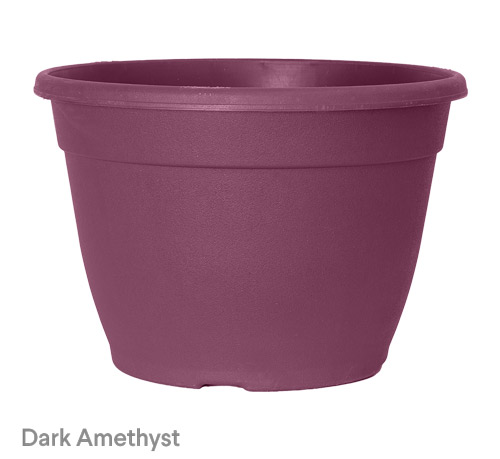 image of Dark Amethyst bella planter
