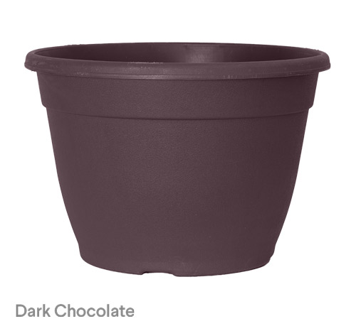 image of dark chocolate bella planter