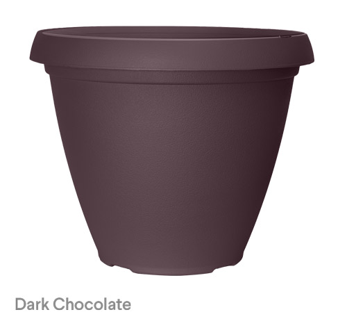 image of dark chocolate cove planter