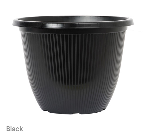 image of black lax planter