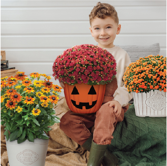Image of little boy holding pumpkin planter