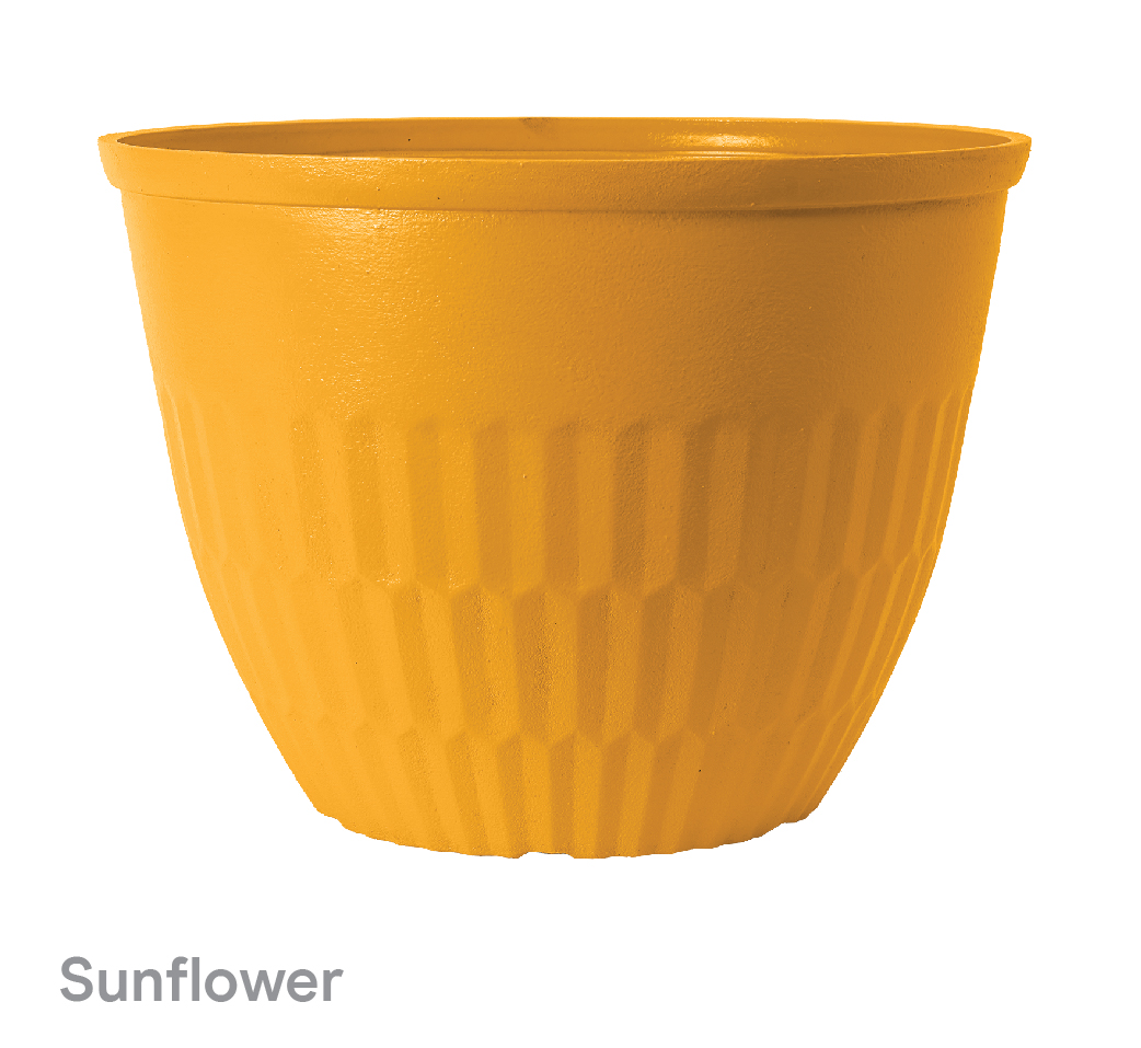 image of Sunflower Fraser planter