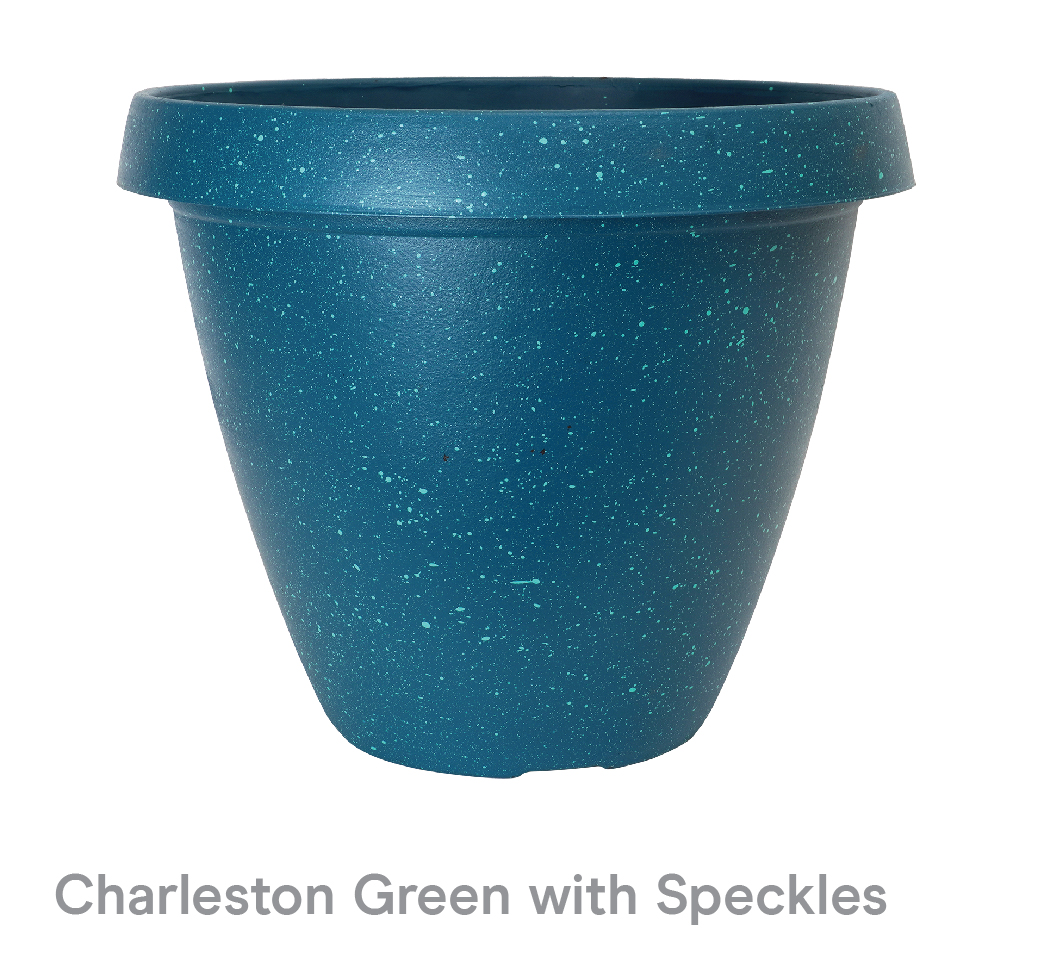 image of Charleston Green with speckles Cove planter