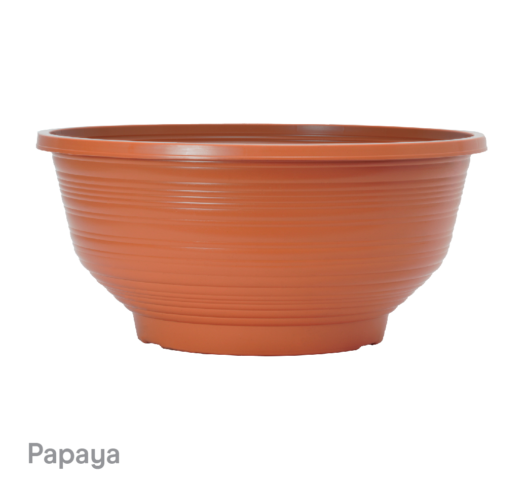 image of Papaya Bellagio Planters