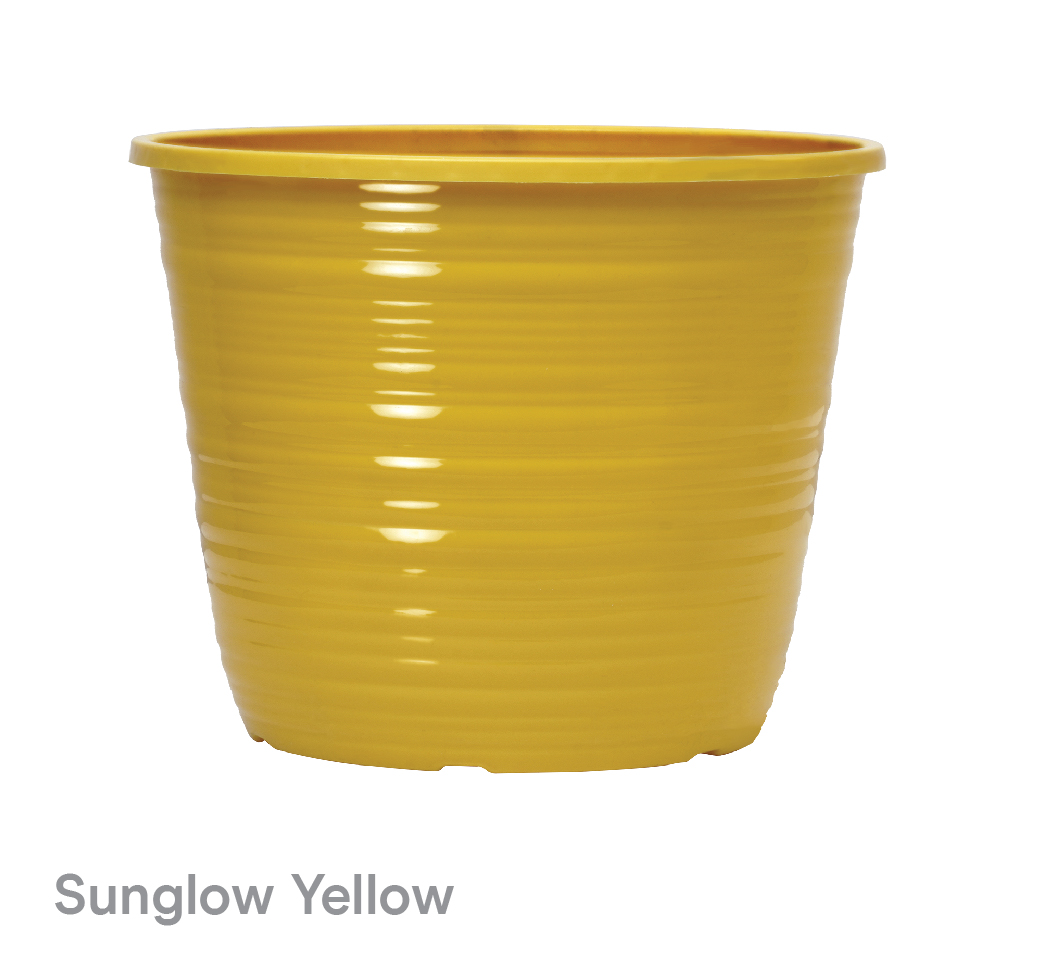 image of Sunglow Yellow Bellagio Planters
