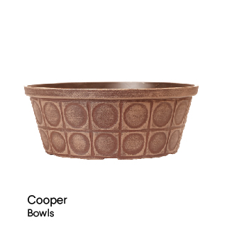 image of Cooper Pan