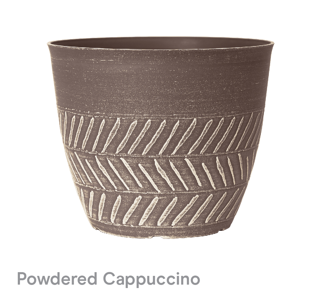 image of Powdered Cappuccino Keke Planters