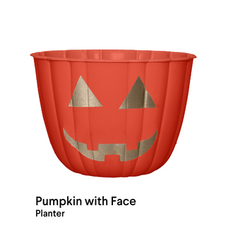image of Pumpkin with Face Planters