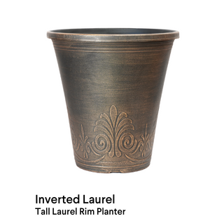 image of Inverted Laurel