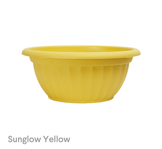 image of Sunglow Yellow Castella planter