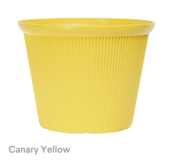 image of Canary Yellow Beeline Pot