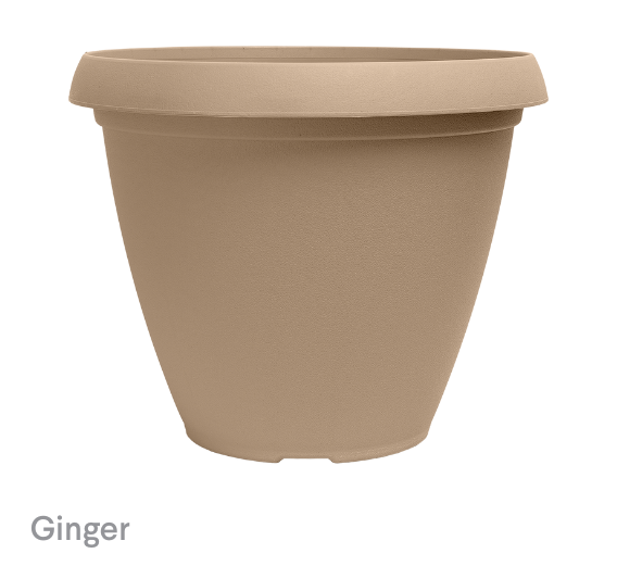 image of Ginger Cove Planters