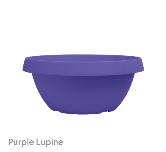 image of Purple Lupine Cove Planters