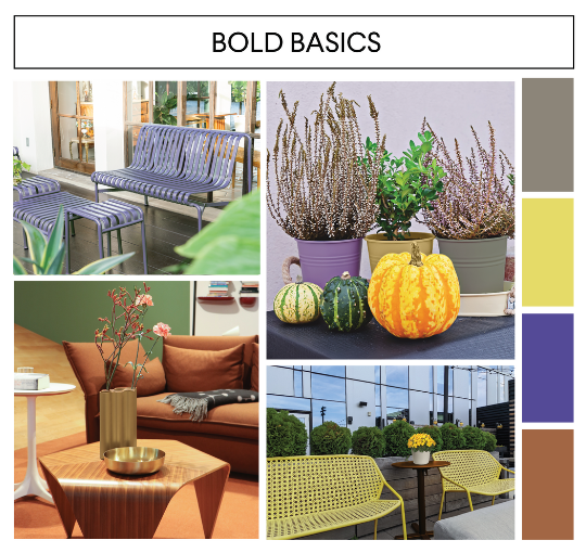 image of colorful pots that links to Bold Basics page