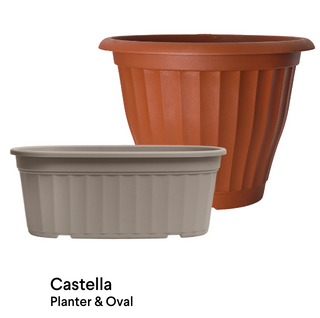 image of Castella planter